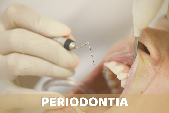 2 Todos os serviços